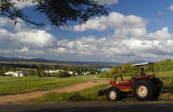 Farming in the tablelands