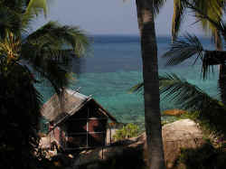 View from my Bungalow (Koh Tao)