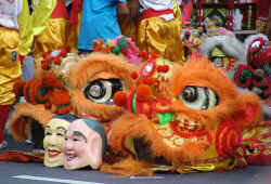 Dragon costumes (Bangkok)